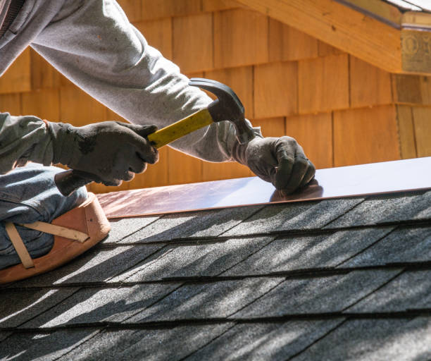 Roof Gutter Cleaning in Muleshoe, TX